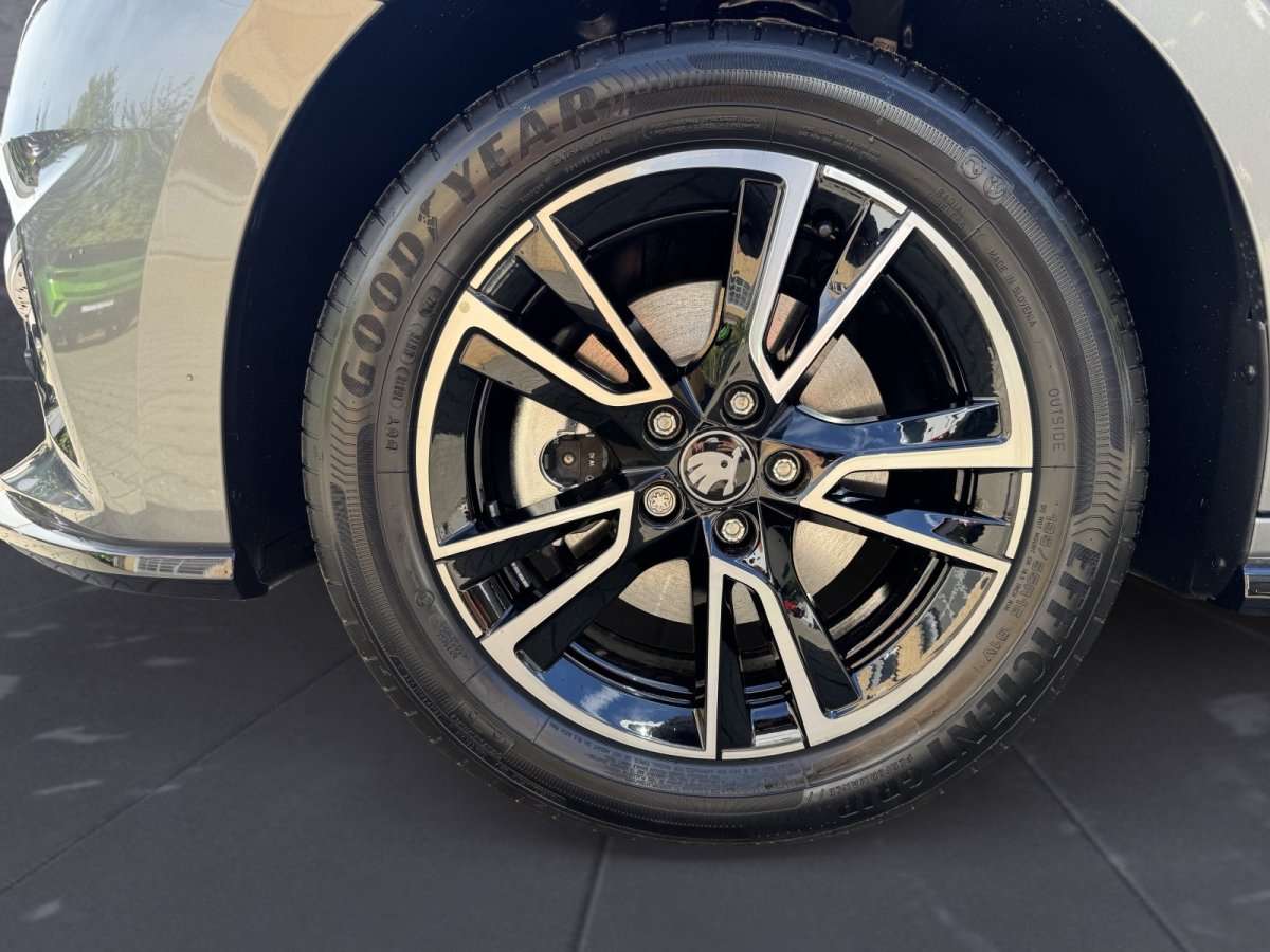 Fahrzeugbild eines Skoda Fabia