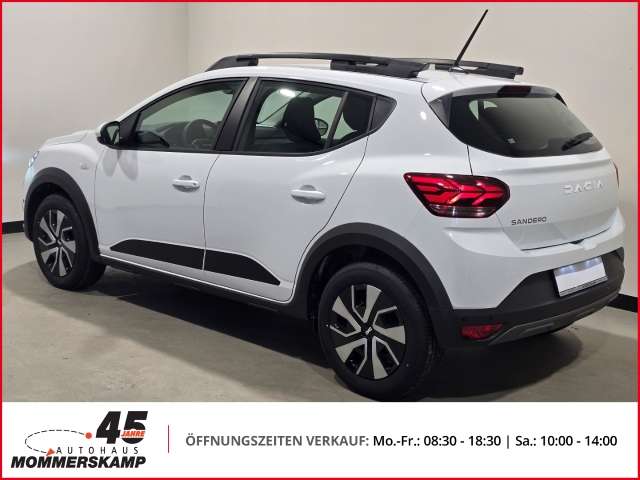 Fahrzeugbild eines Dacia Sandero