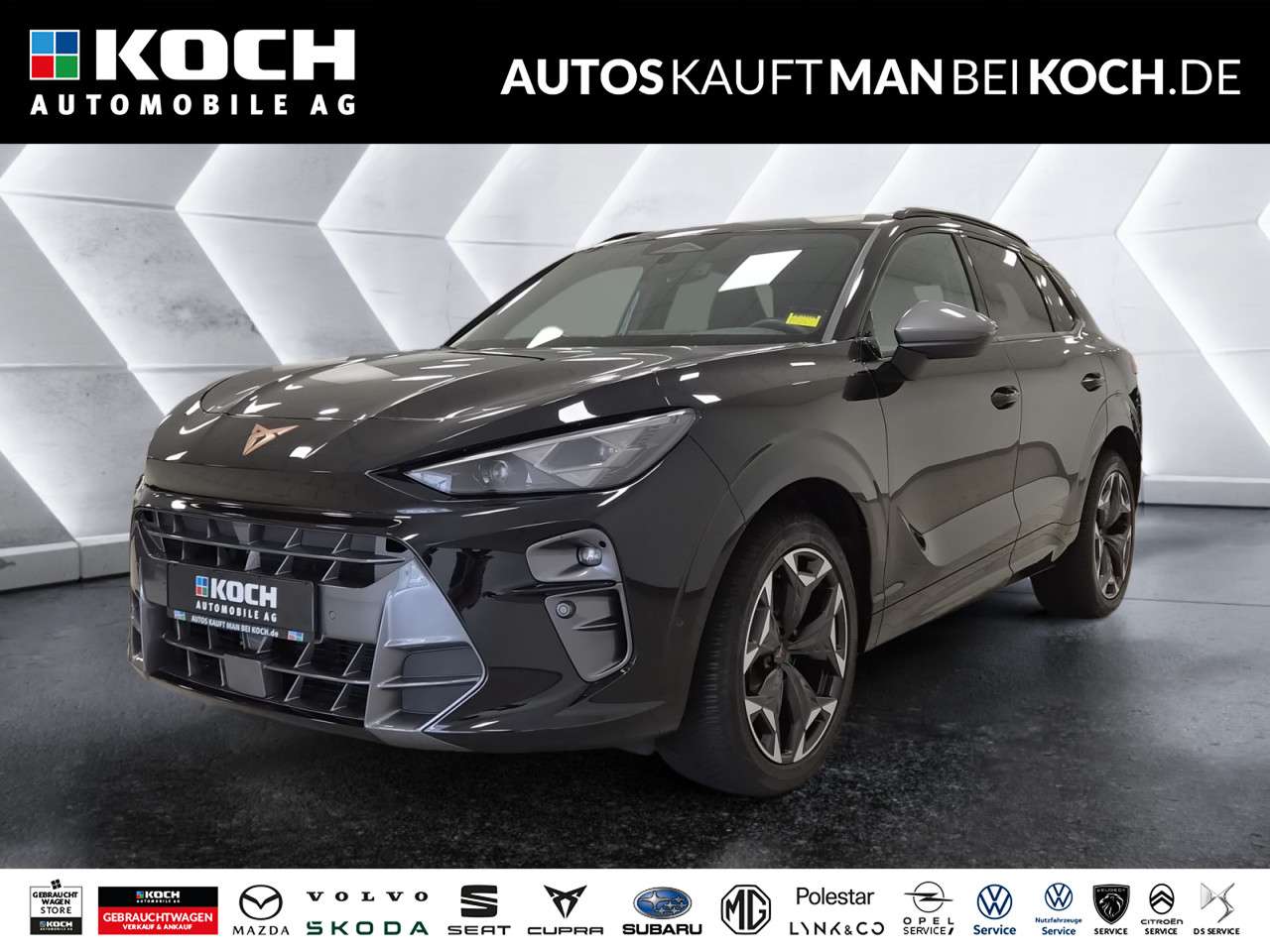 Fahrzeugbild eines CUPRA Terramar
