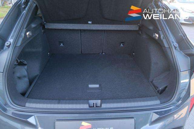 Fahrzeugbild eines CUPRA Terramar