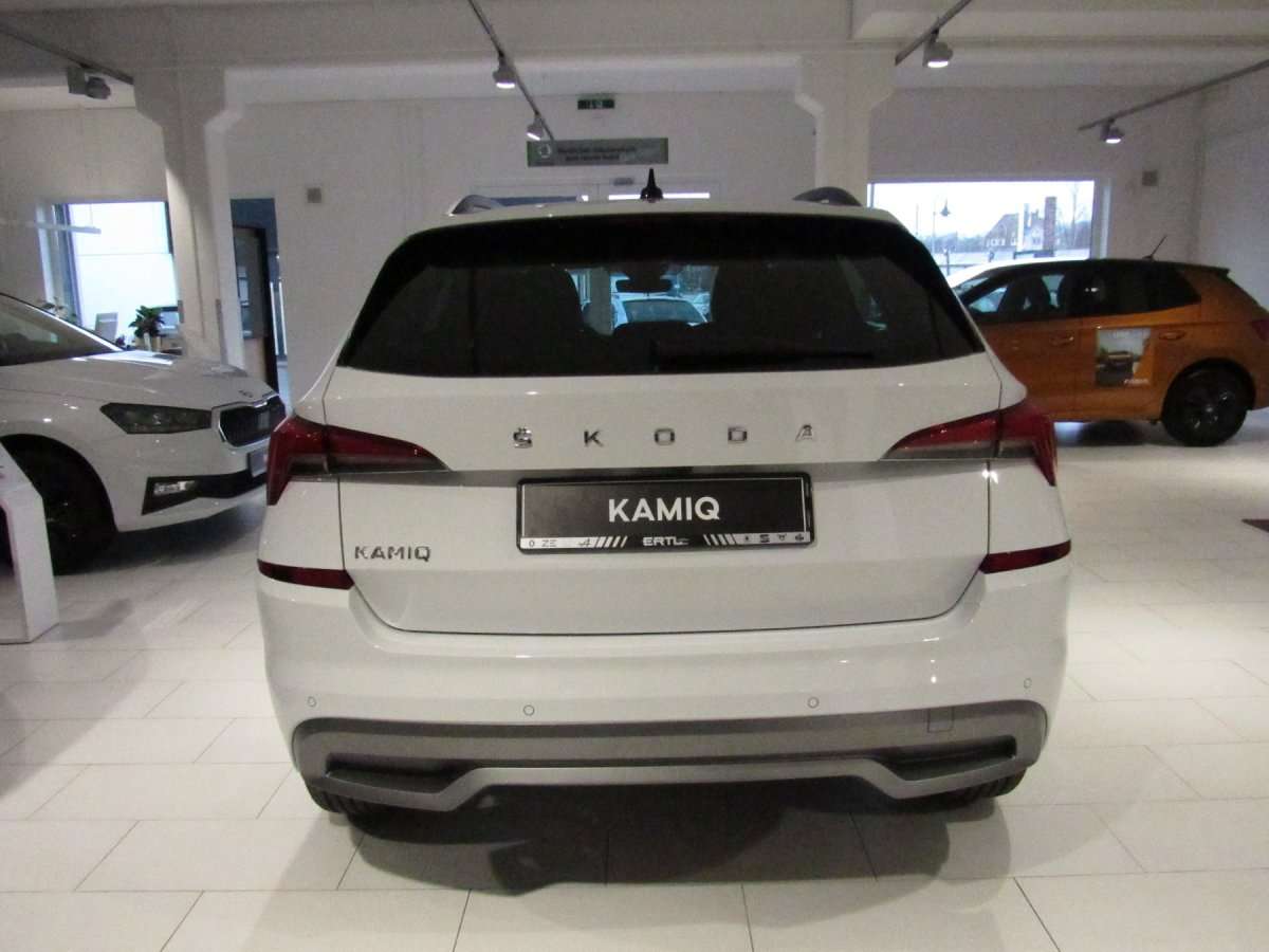 Fahrzeugbild eines Skoda Kamiq