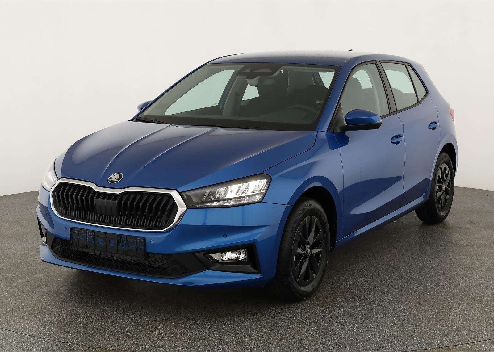 Fahrzeugbild eines Skoda Fabia