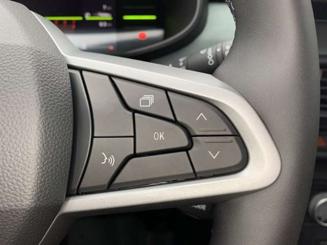 Fahrzeugbild eines Dacia Jogger