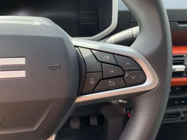 Fahrzeugbild eines Dacia Spring