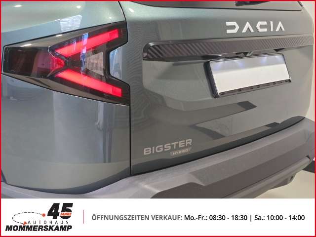 Fahrzeugbild eines Dacia Bigster