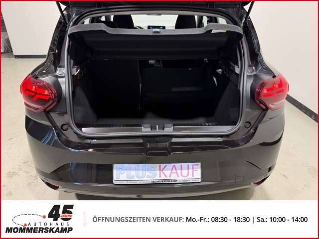 Fahrzeugbild eines Dacia Sandero