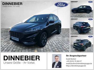Bild Ford Kuga