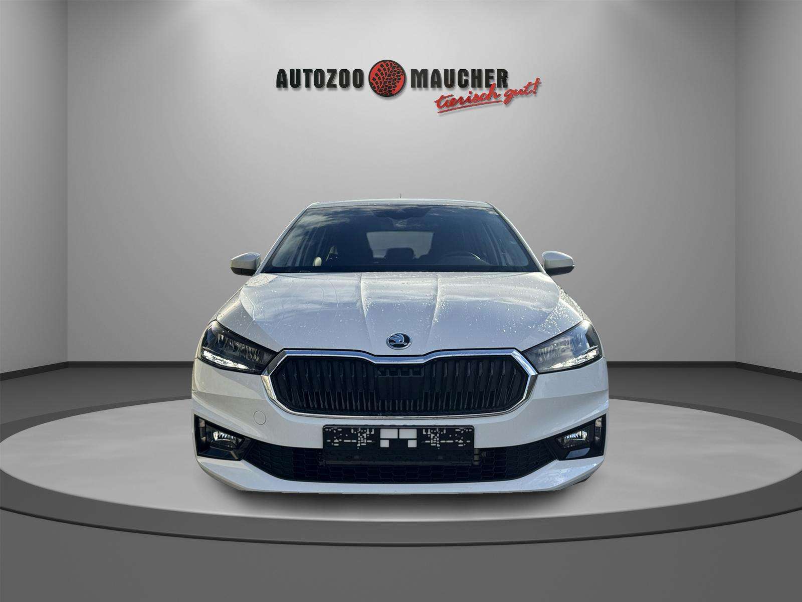 Fahrzeugbild eines Skoda Fabia