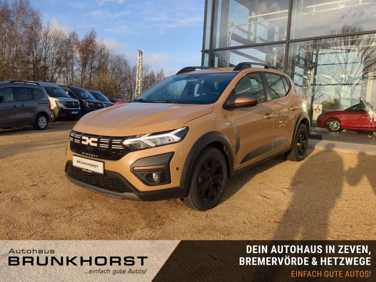 Fahrzeugbild eines Dacia Sandero