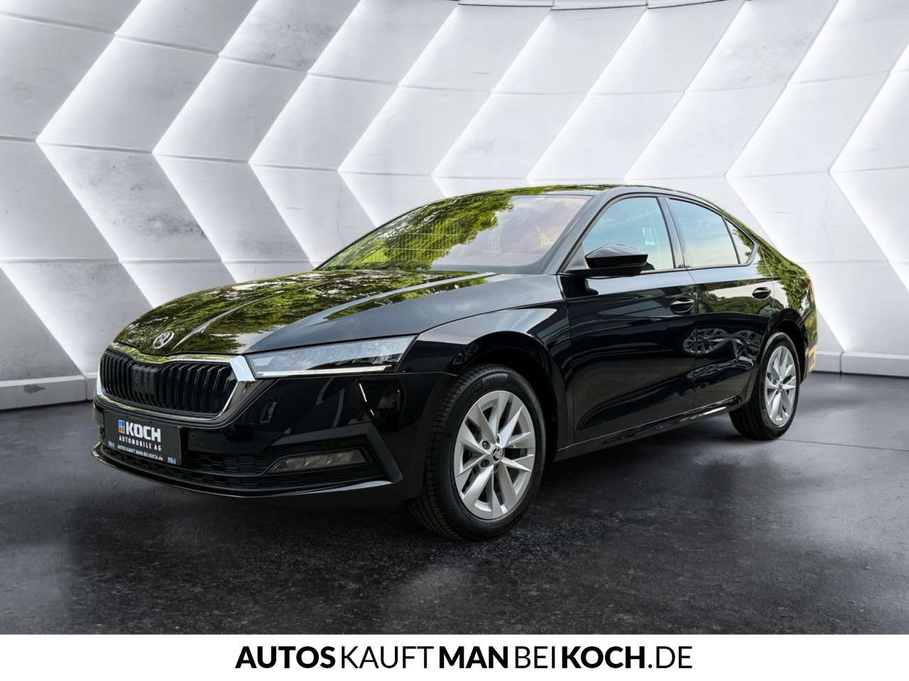 Fahrzeugbild eines Skoda Octavia