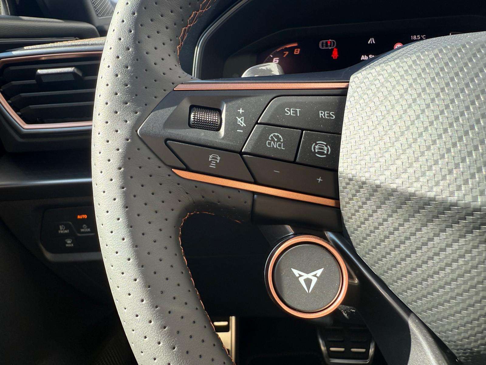 Fahrzeugbild eines CUPRA Formentor