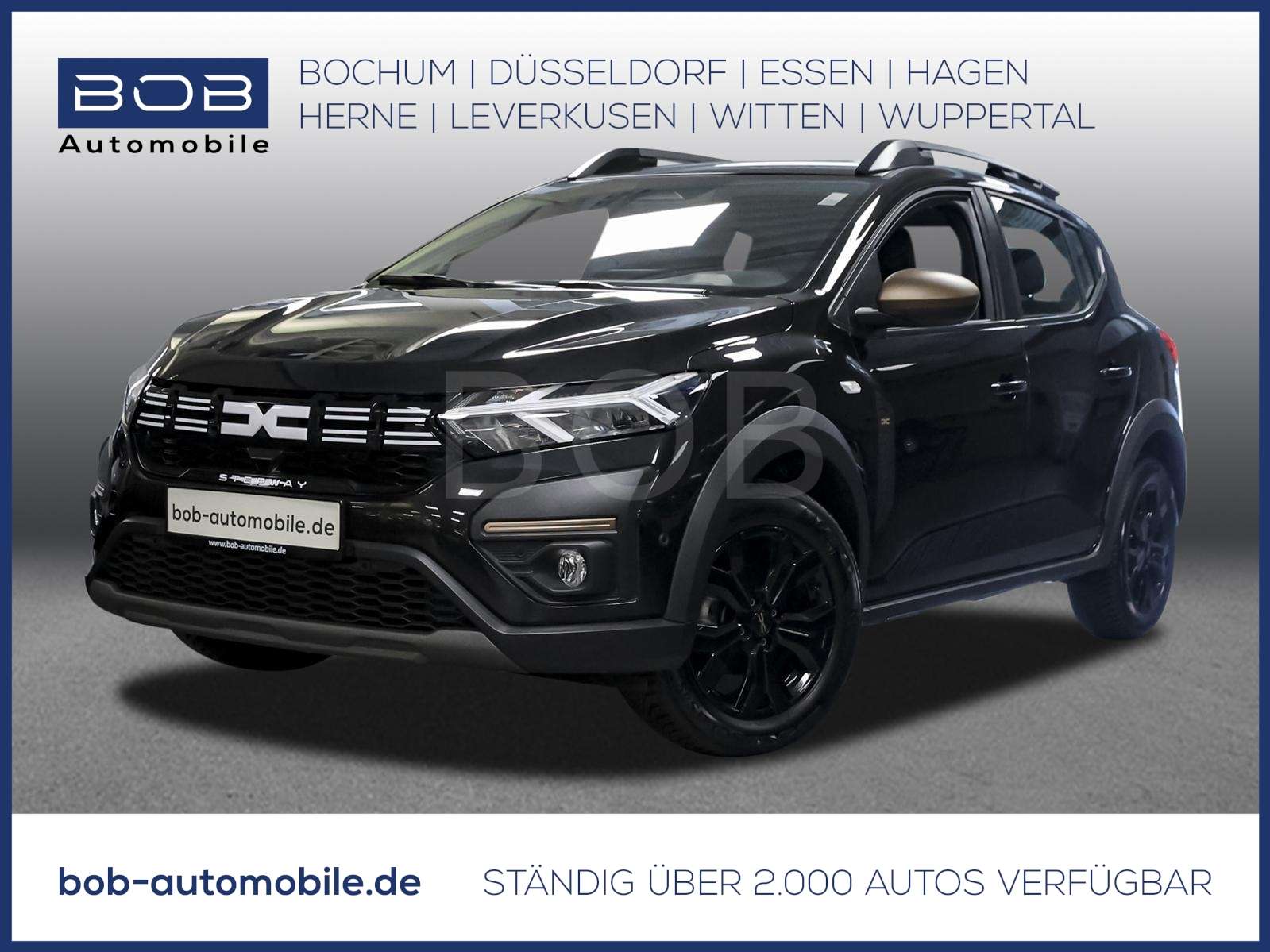 Fahrzeugbild eines Dacia Sandero