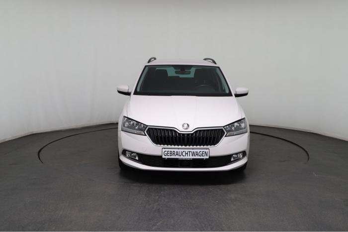 Fahrzeugbild eines Skoda Fabia