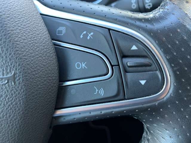 Fahrzeugbild eines Renault Grand Scénic