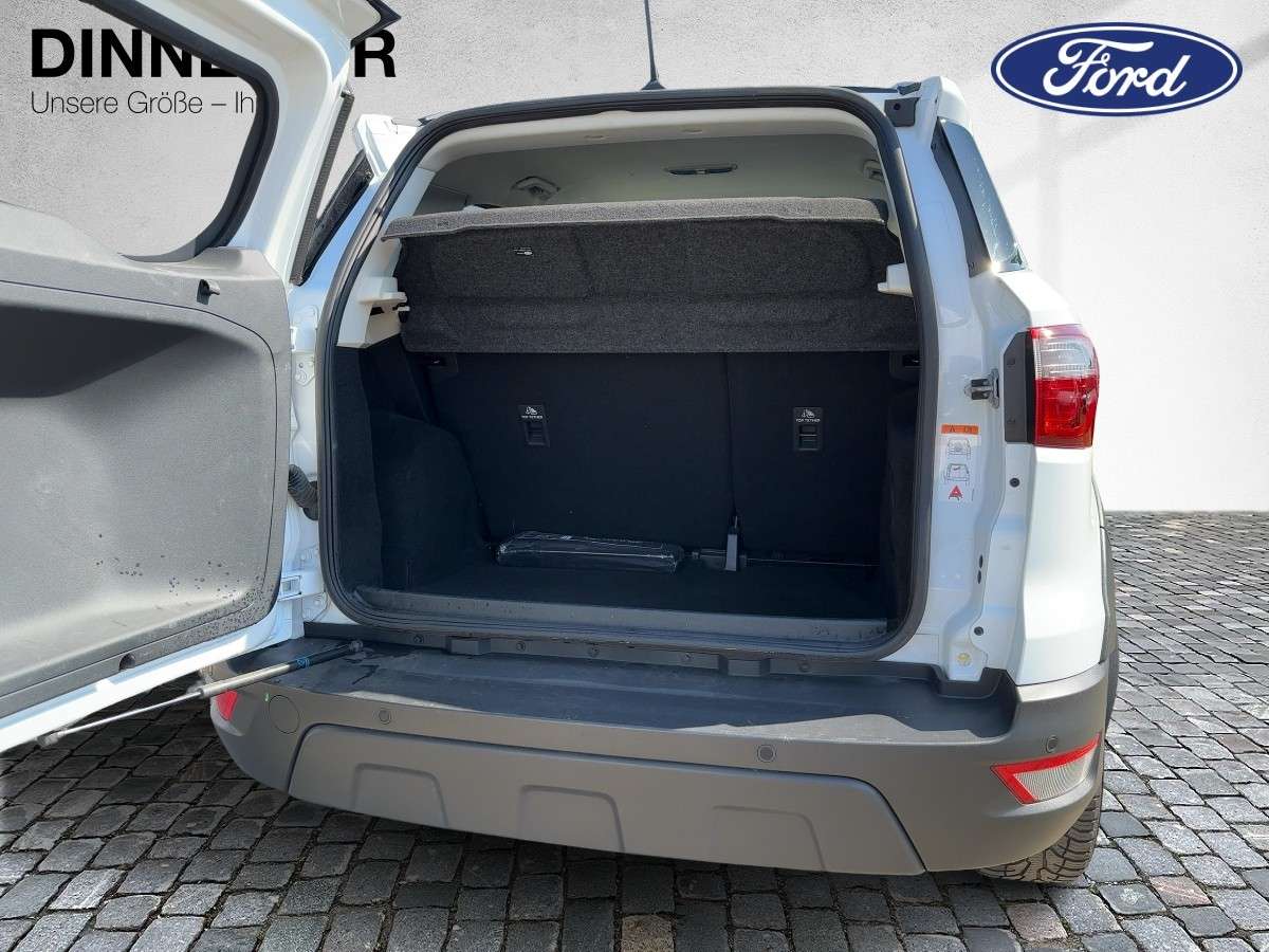Fahrzeugbild eines Ford EcoSport
