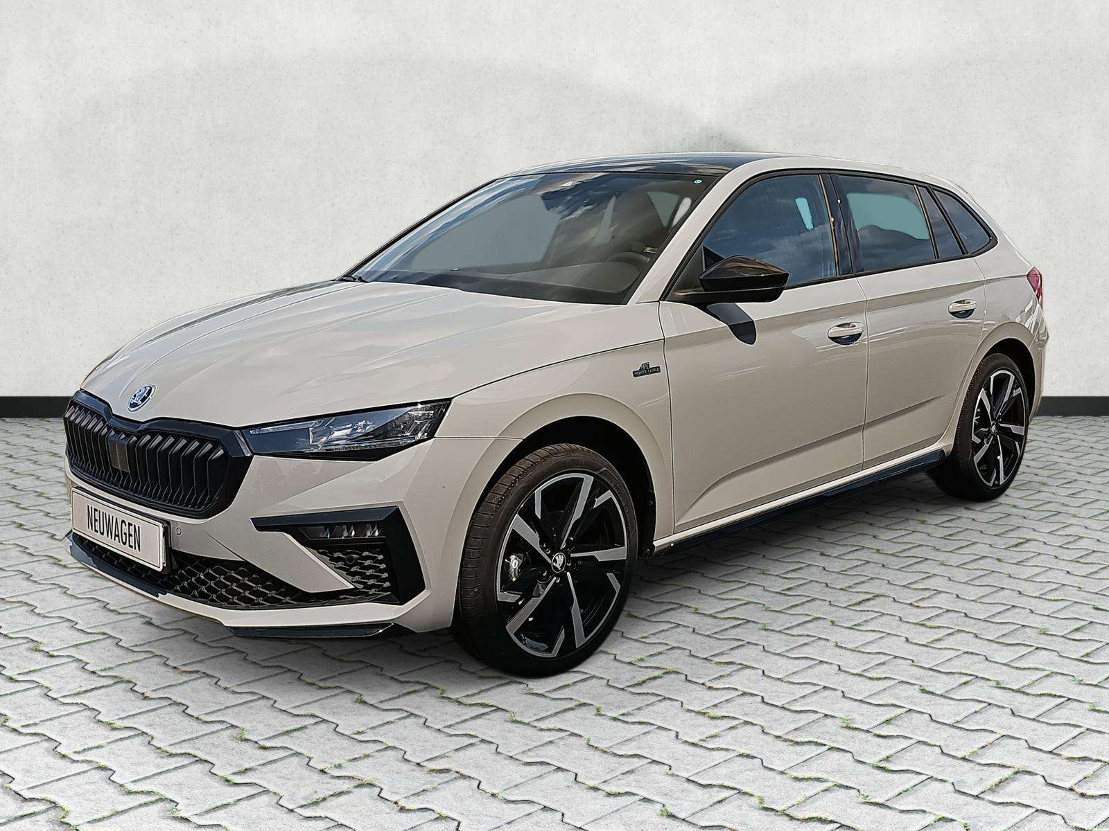 Fahrzeugbild eines Skoda Scala