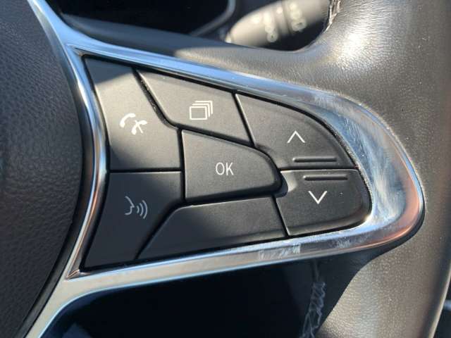 Fahrzeugbild eines Renault ZOE