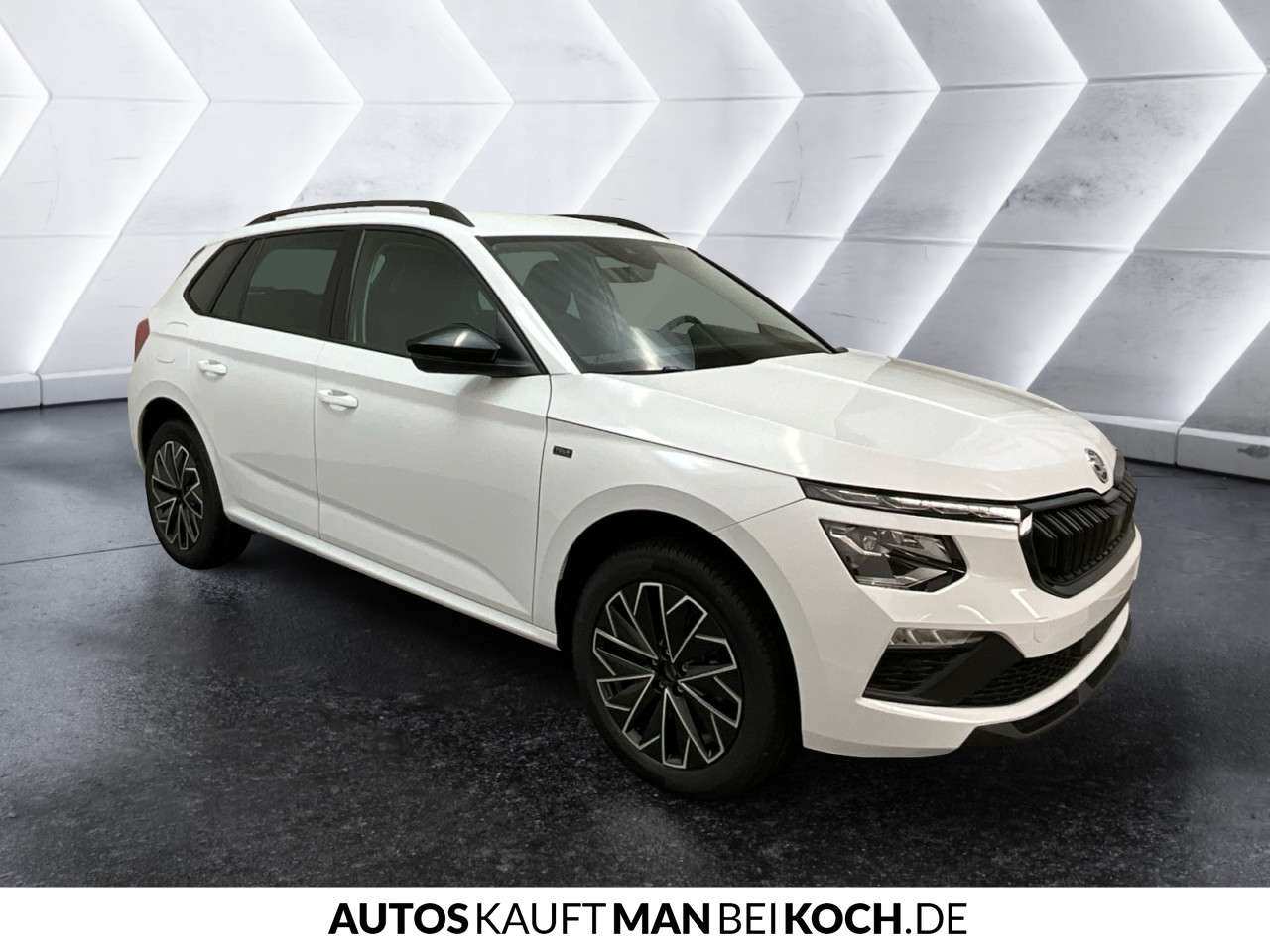 Fahrzeugbild eines Skoda Kamiq