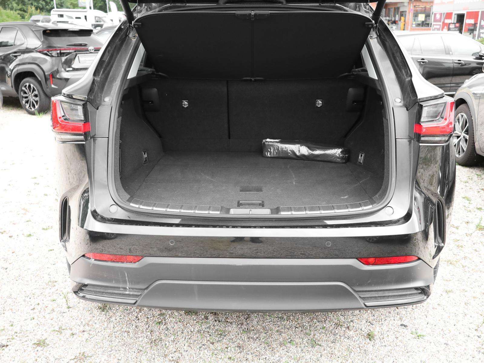 Fahrzeugbild eines Lexus NX
