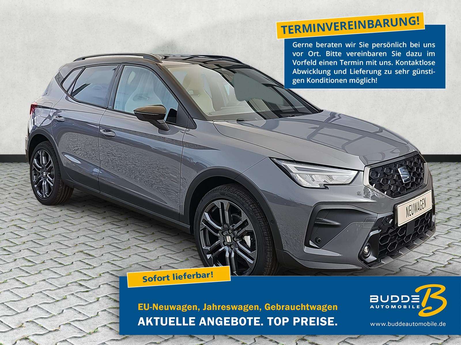 Fahrzeugbild eines SEAT Arona
