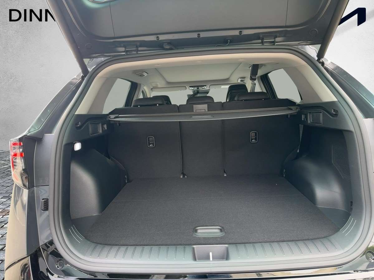 Fahrzeugbild eines Kia Sportage