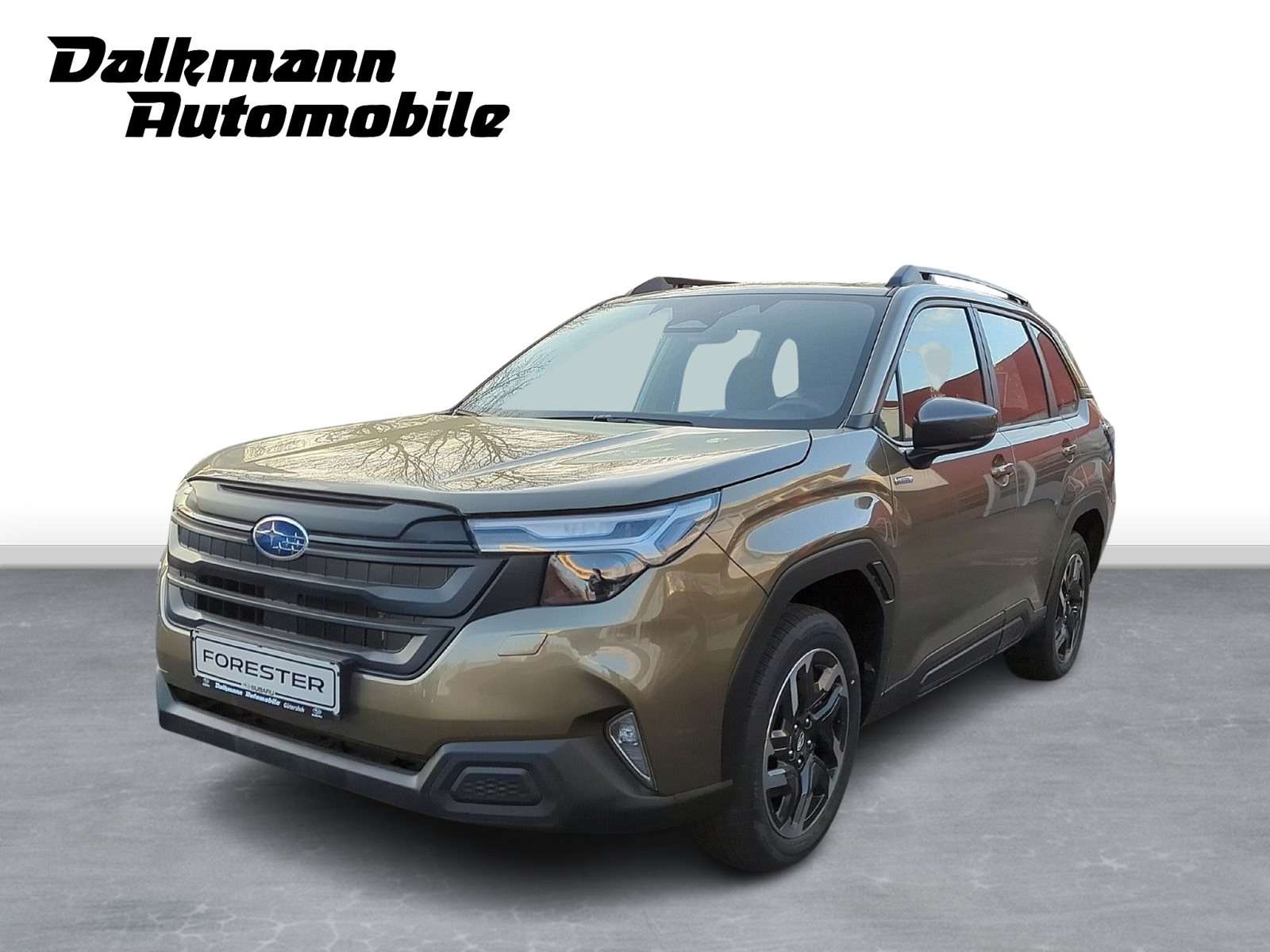 Fahrzeugbild eines Subaru Forester