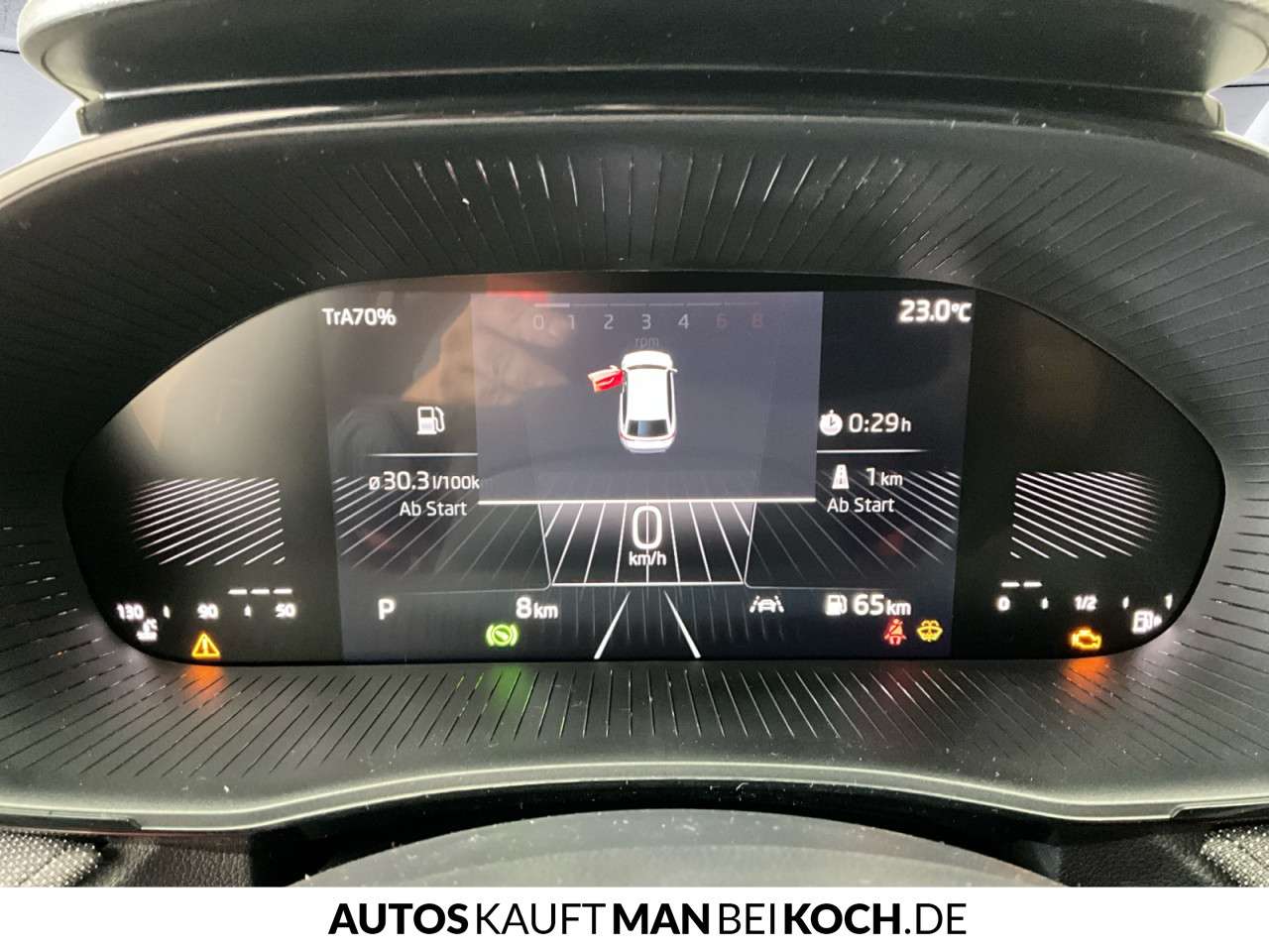 Fahrzeugbild eines Skoda Fabia