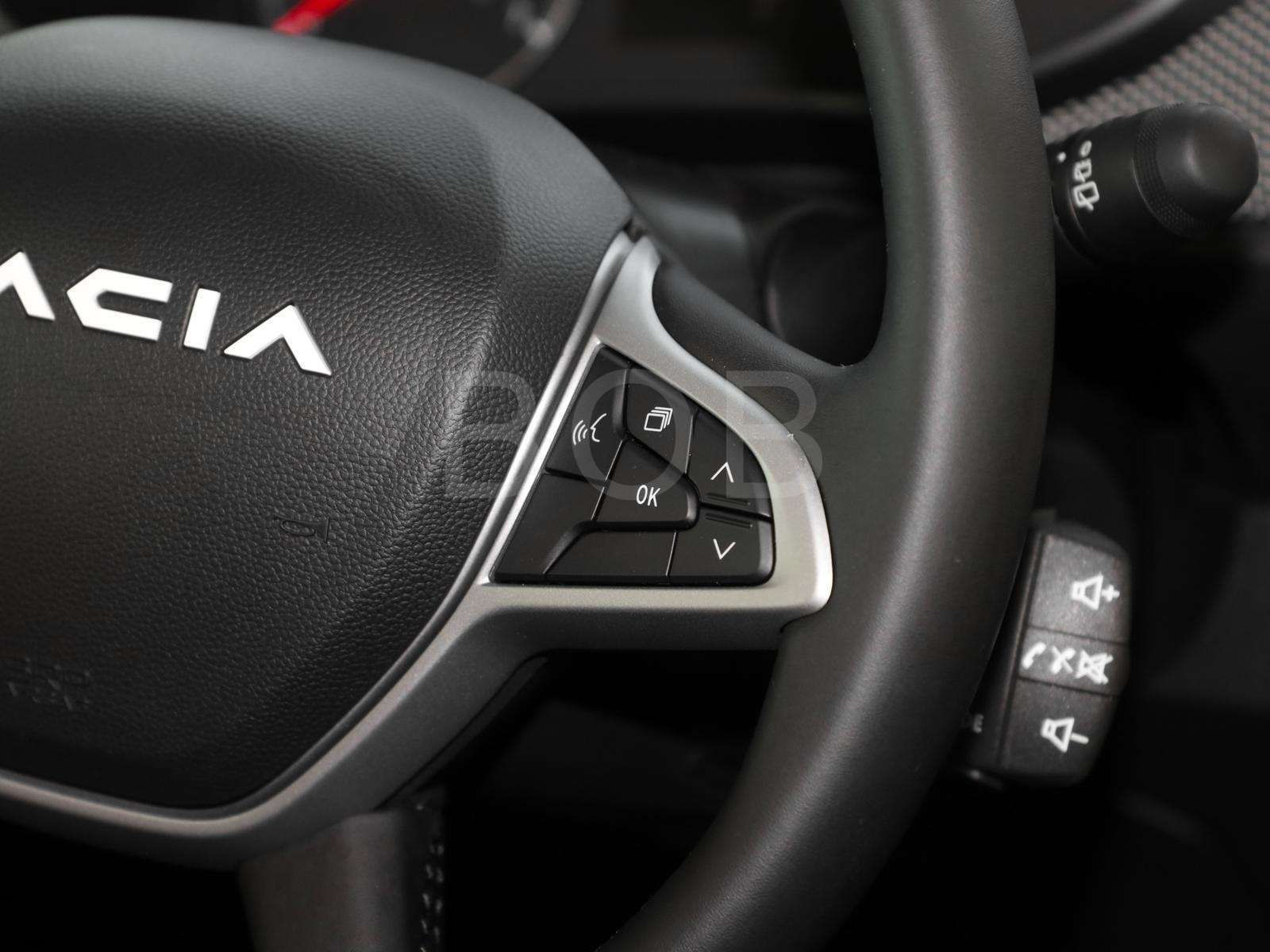 Fahrzeugbild eines Dacia Sandero