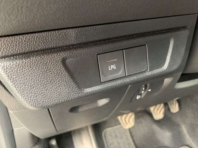 Fahrzeugbild eines Dacia Sandero