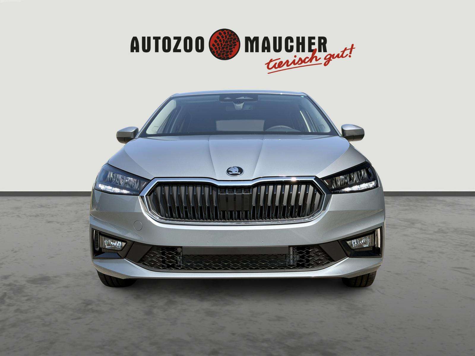 Fahrzeugbild eines Skoda Fabia