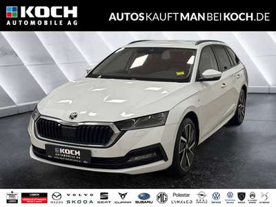 Bild Skoda Octavia