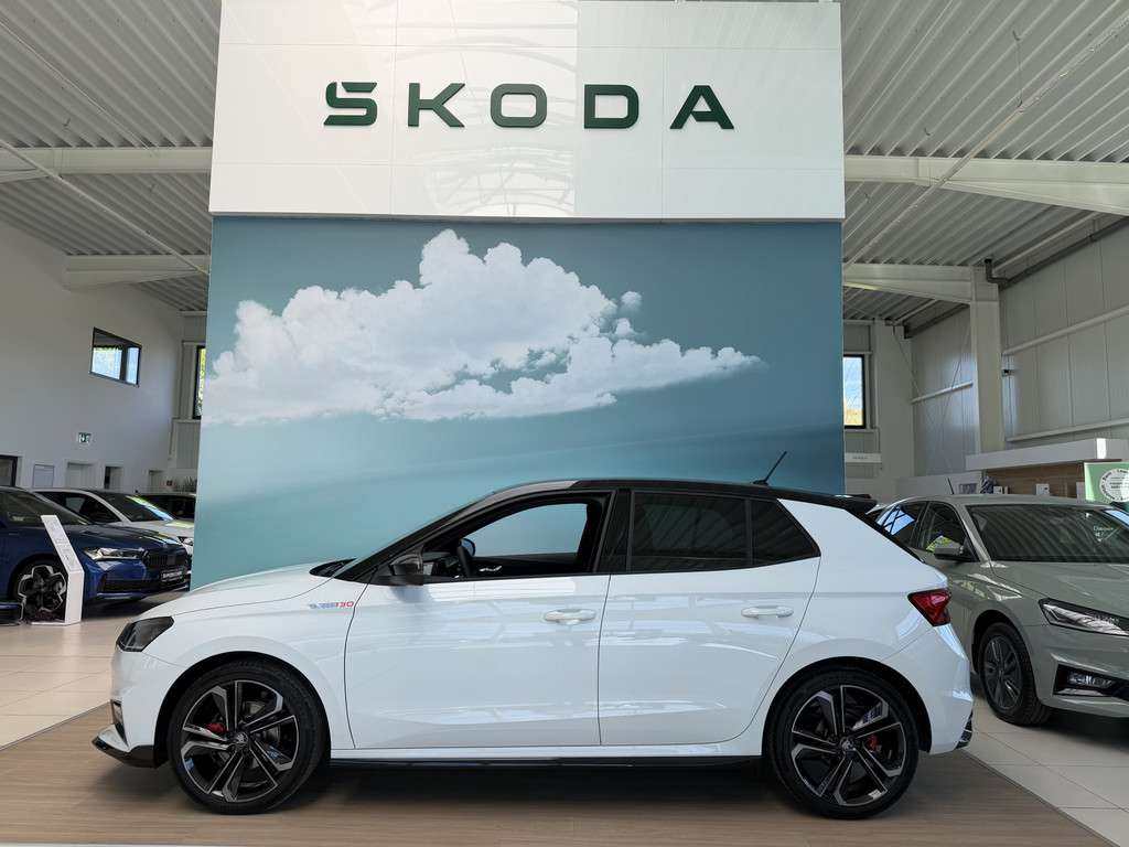 Fahrzeugbild eines Skoda Fabia