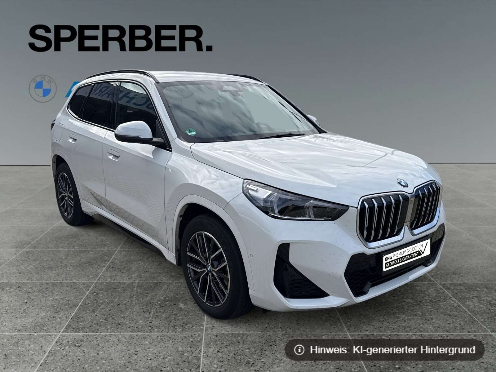 Fahrzeugbild eines BMW X1