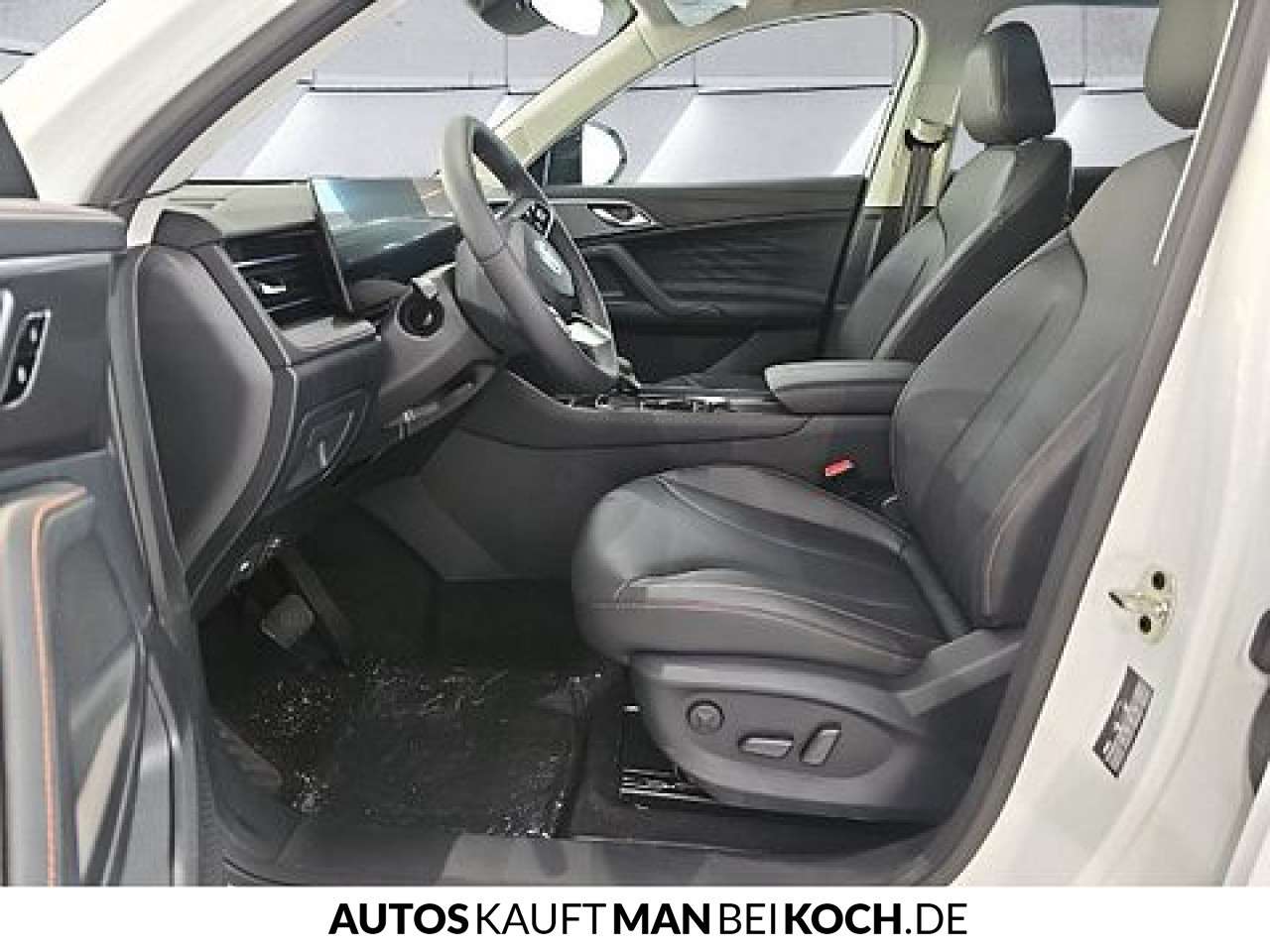 Fahrzeugbild eines MG HS