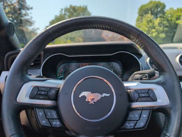 Fahrzeugbild eines Ford Mustang