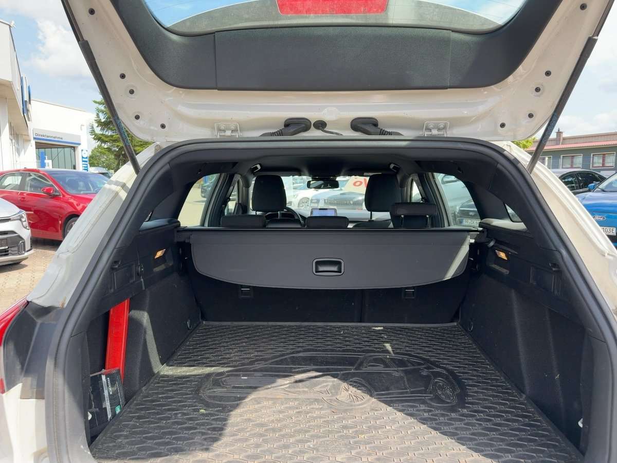 Fahrzeugbild eines Ford Focus