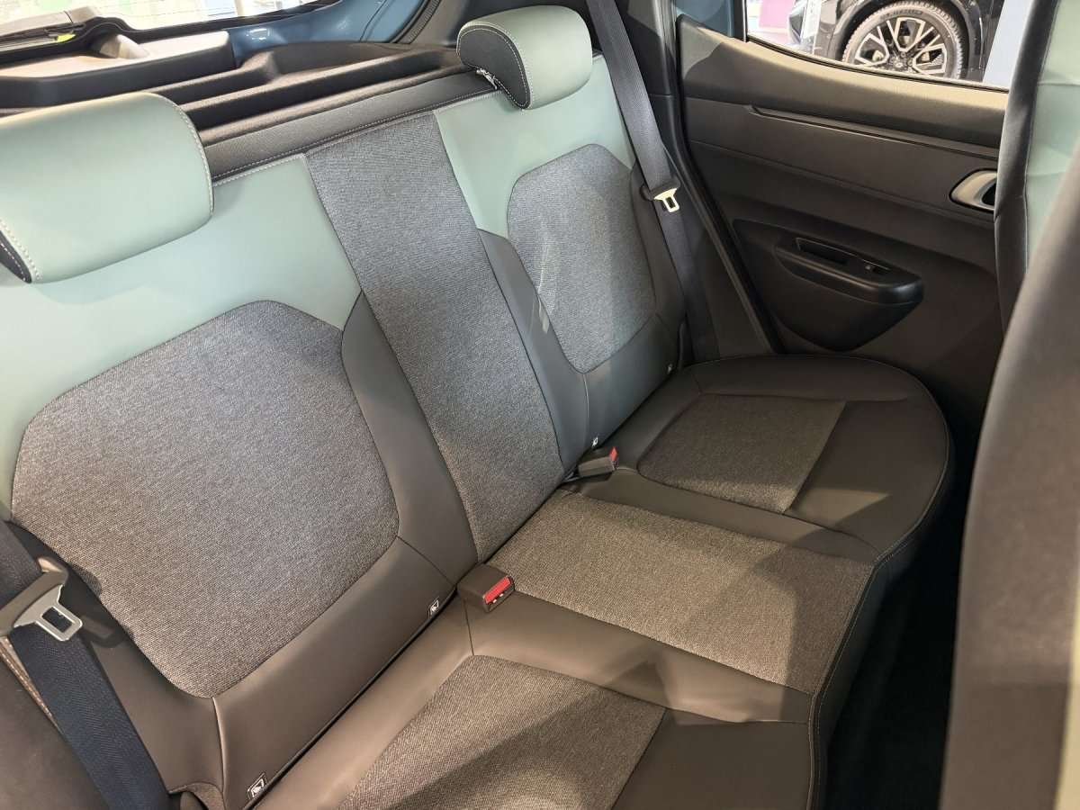 Fahrzeugbild eines Dacia Spring