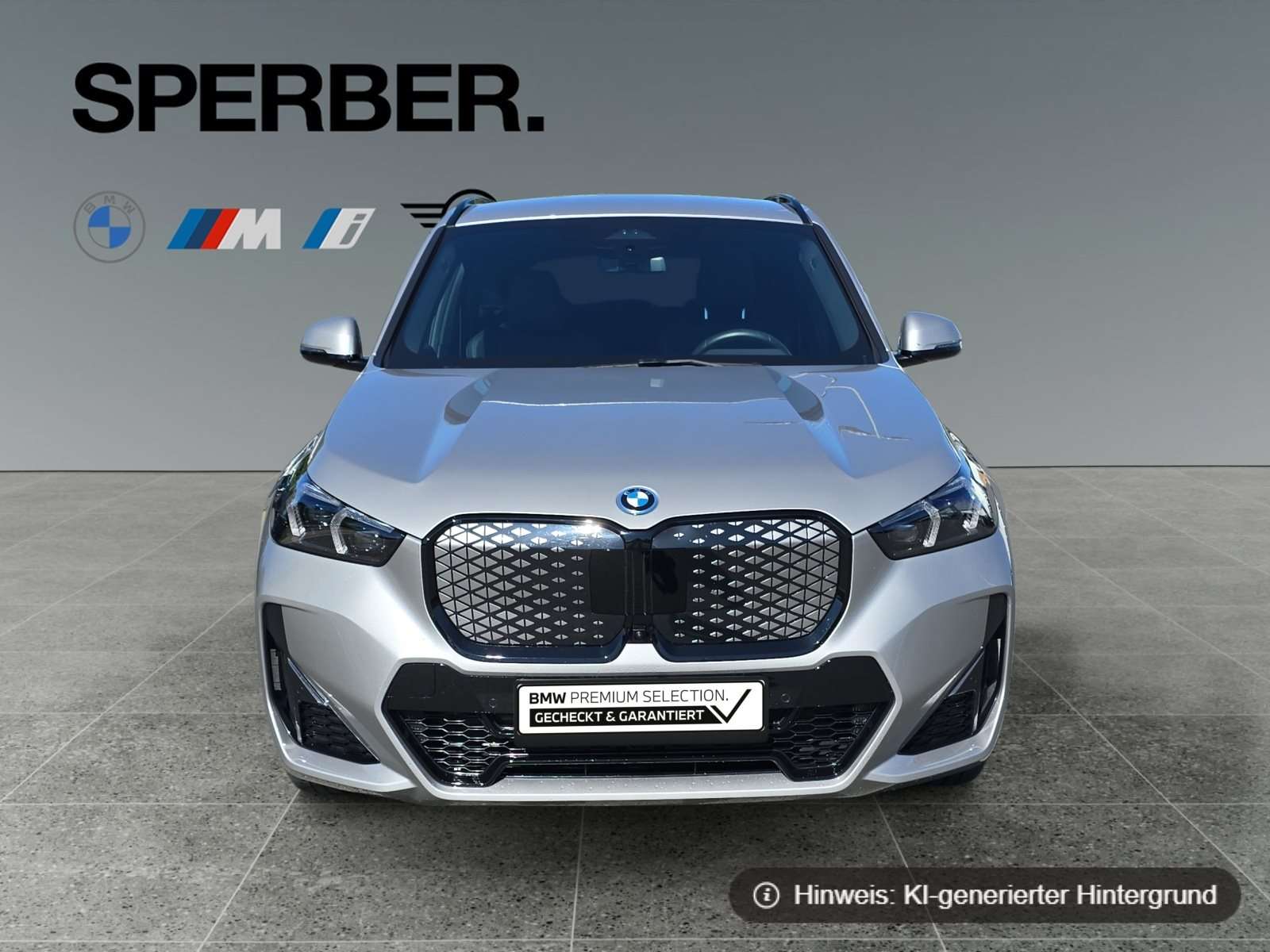 Fahrzeugbild eines BMW iX1