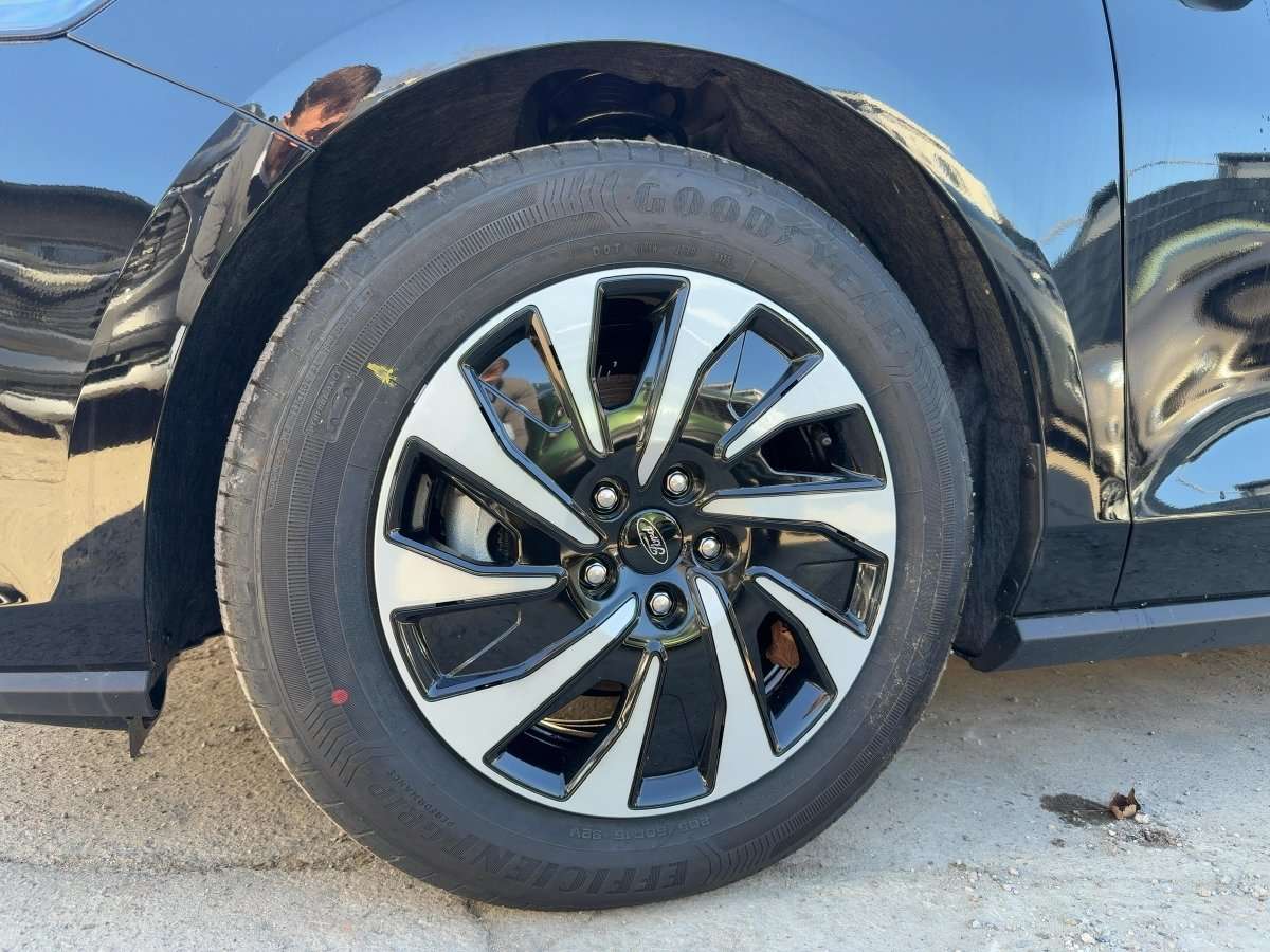 Fahrzeugbild eines Ford Focus