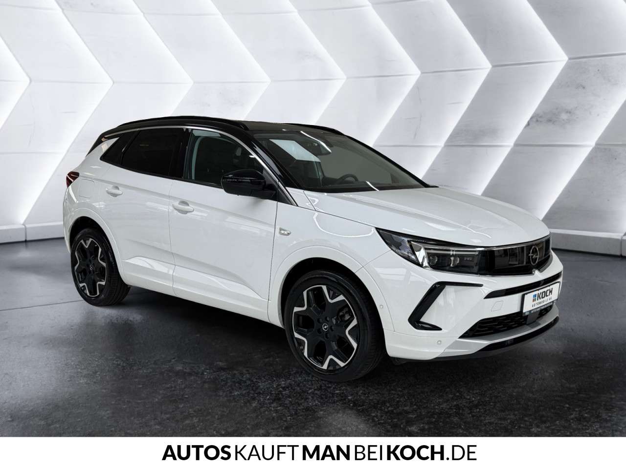 Fahrzeugbild eines Opel Grandland X
