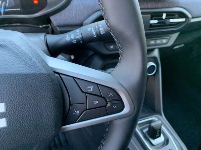 Fahrzeugbild eines Dacia Jogger