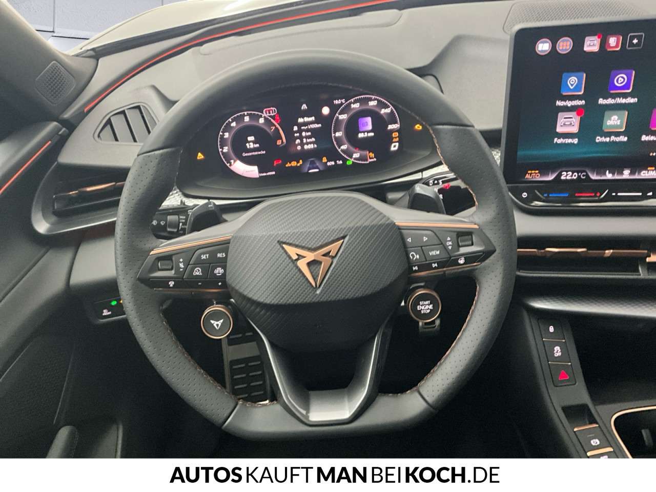 Fahrzeugbild eines CUPRA Terramar