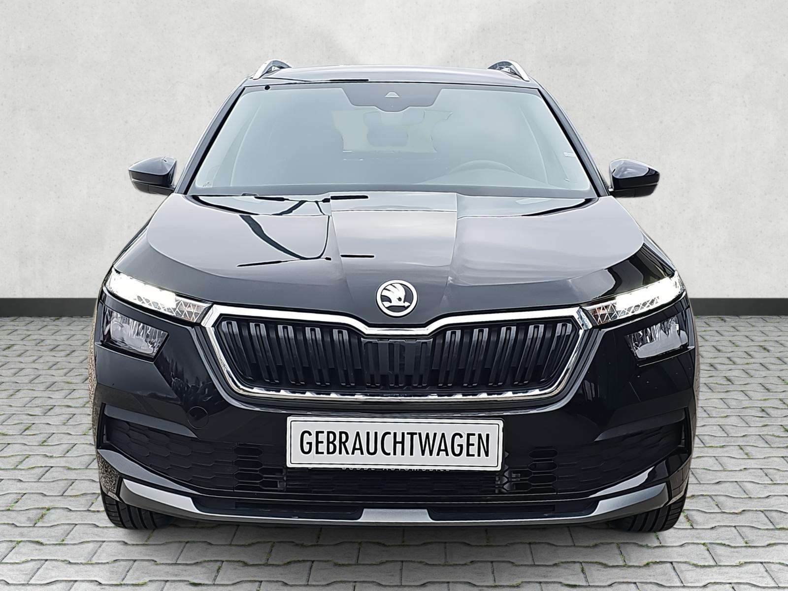 Fahrzeugbild eines Skoda Kamiq