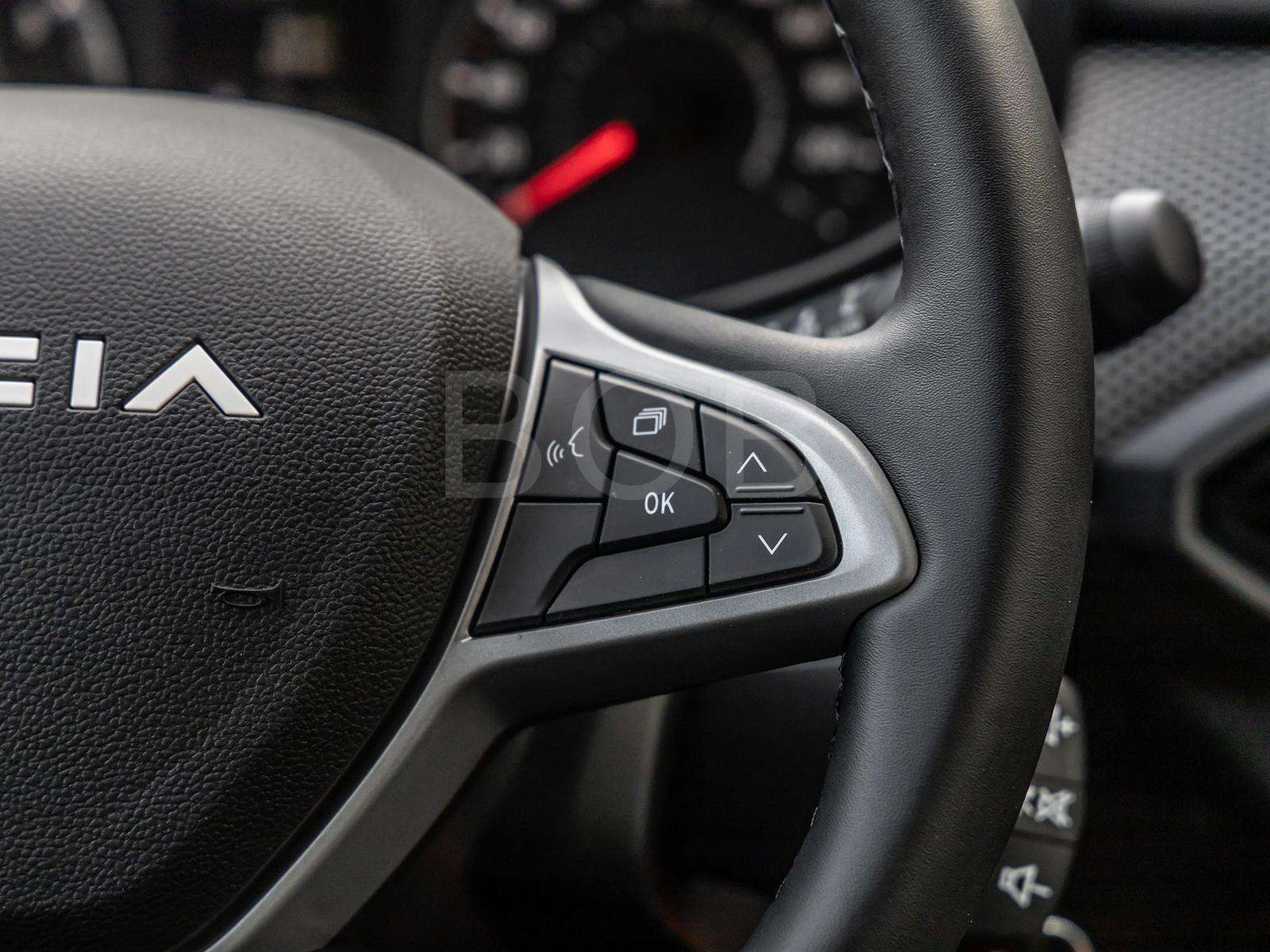 Fahrzeugbild eines Dacia Sandero