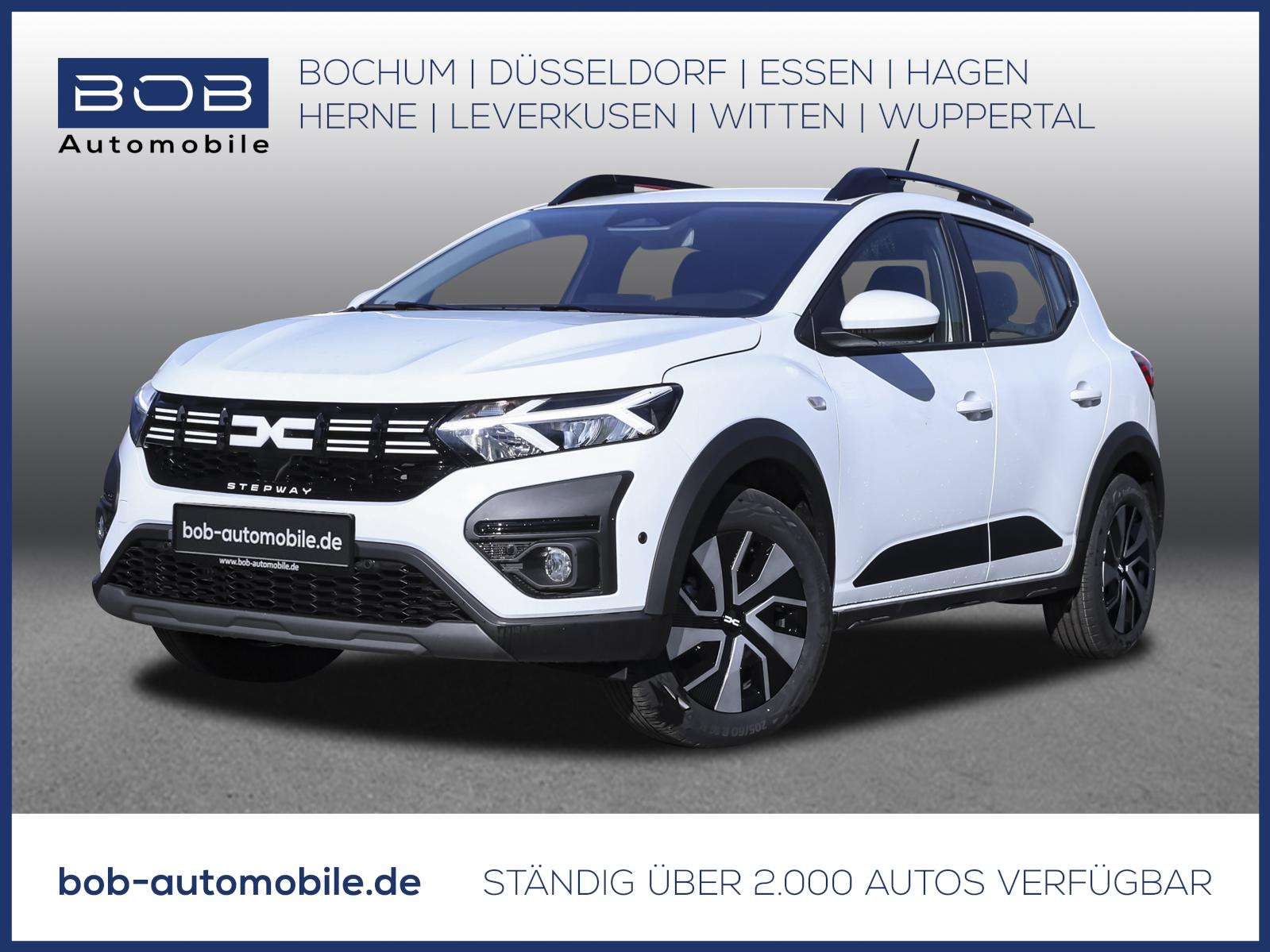 Fahrzeugbild eines Dacia Sandero