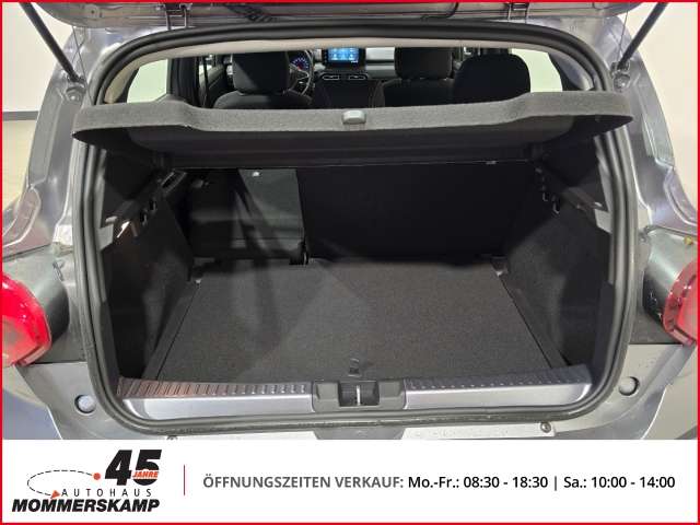 Fahrzeugbild eines Dacia Sandero