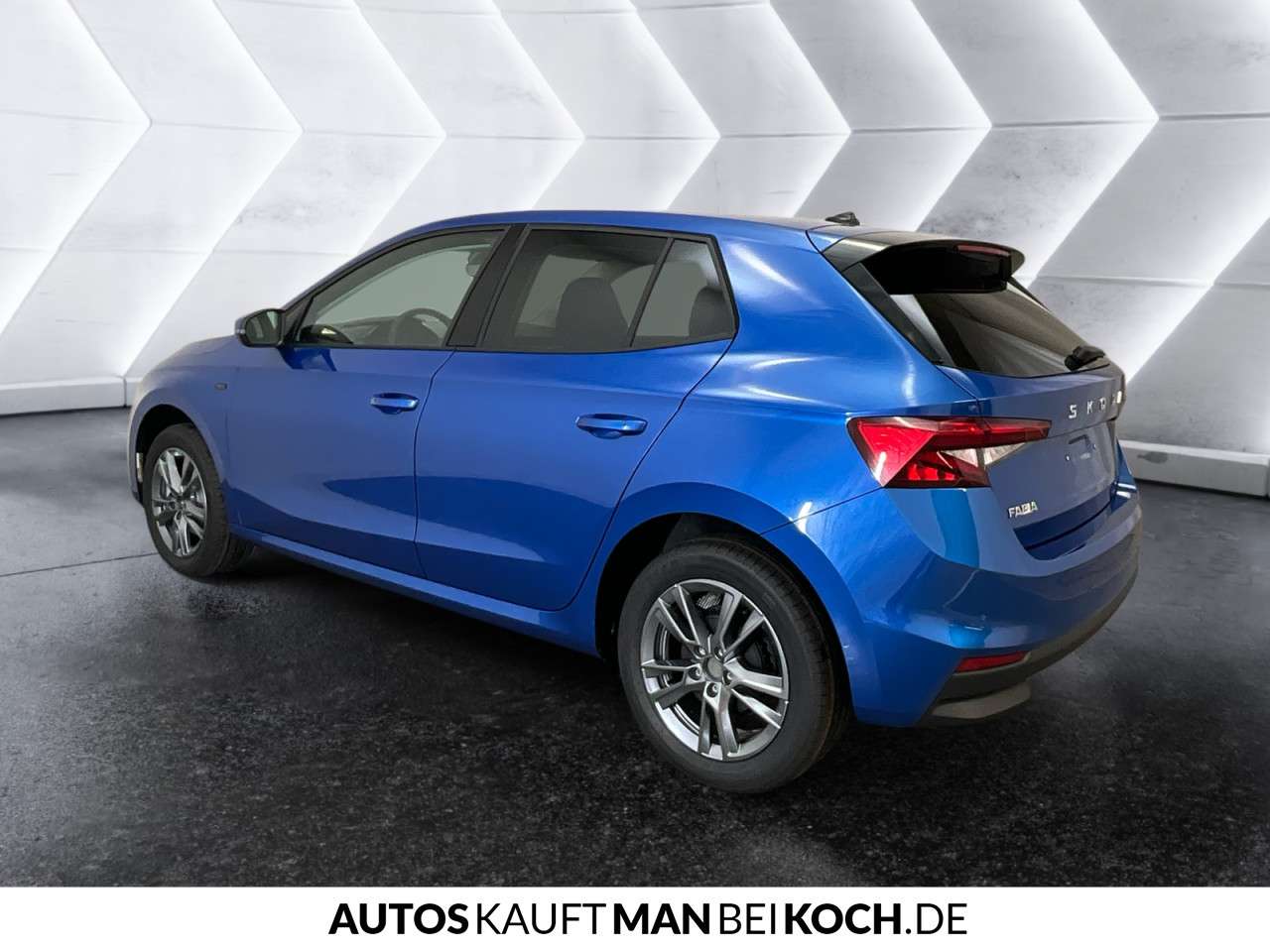 Fahrzeugbild eines Skoda Fabia