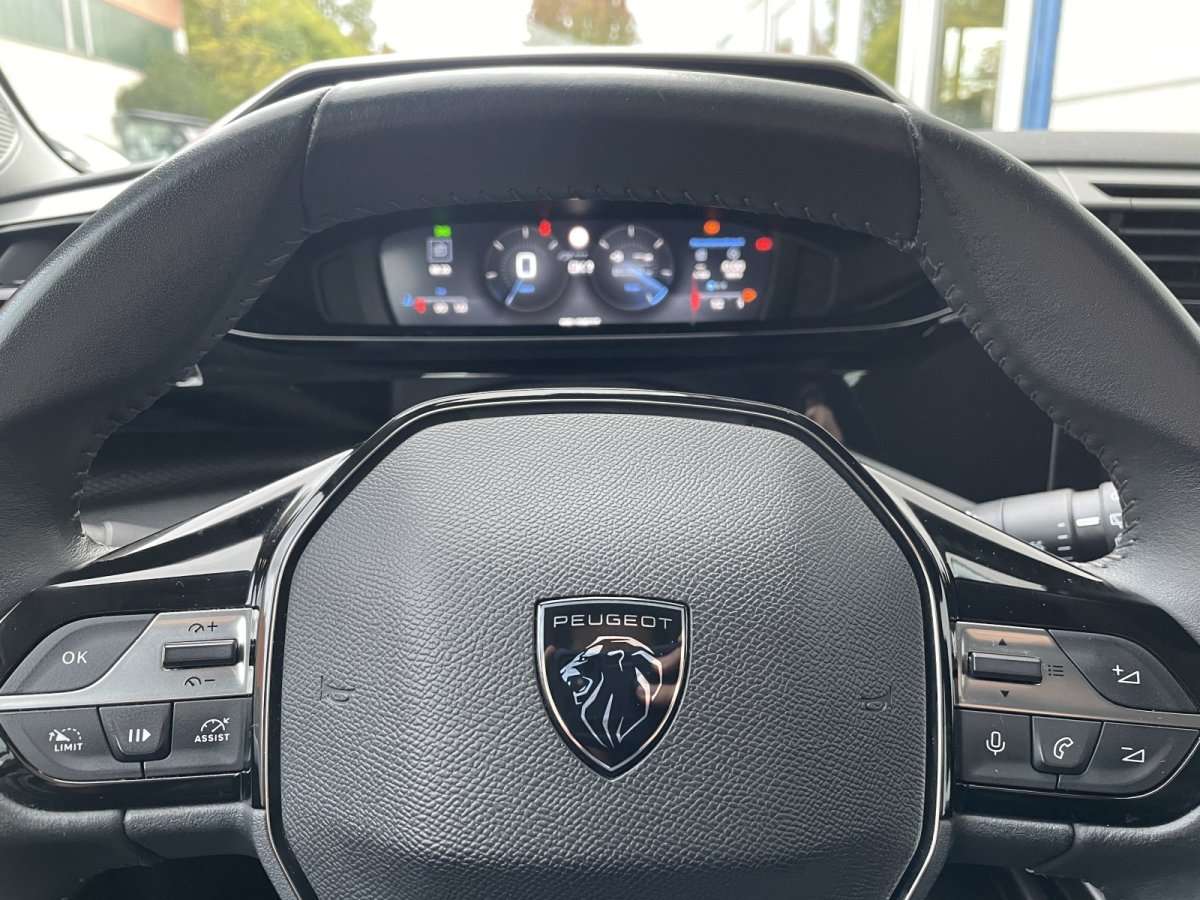 Fahrzeugbild eines Peugeot 308