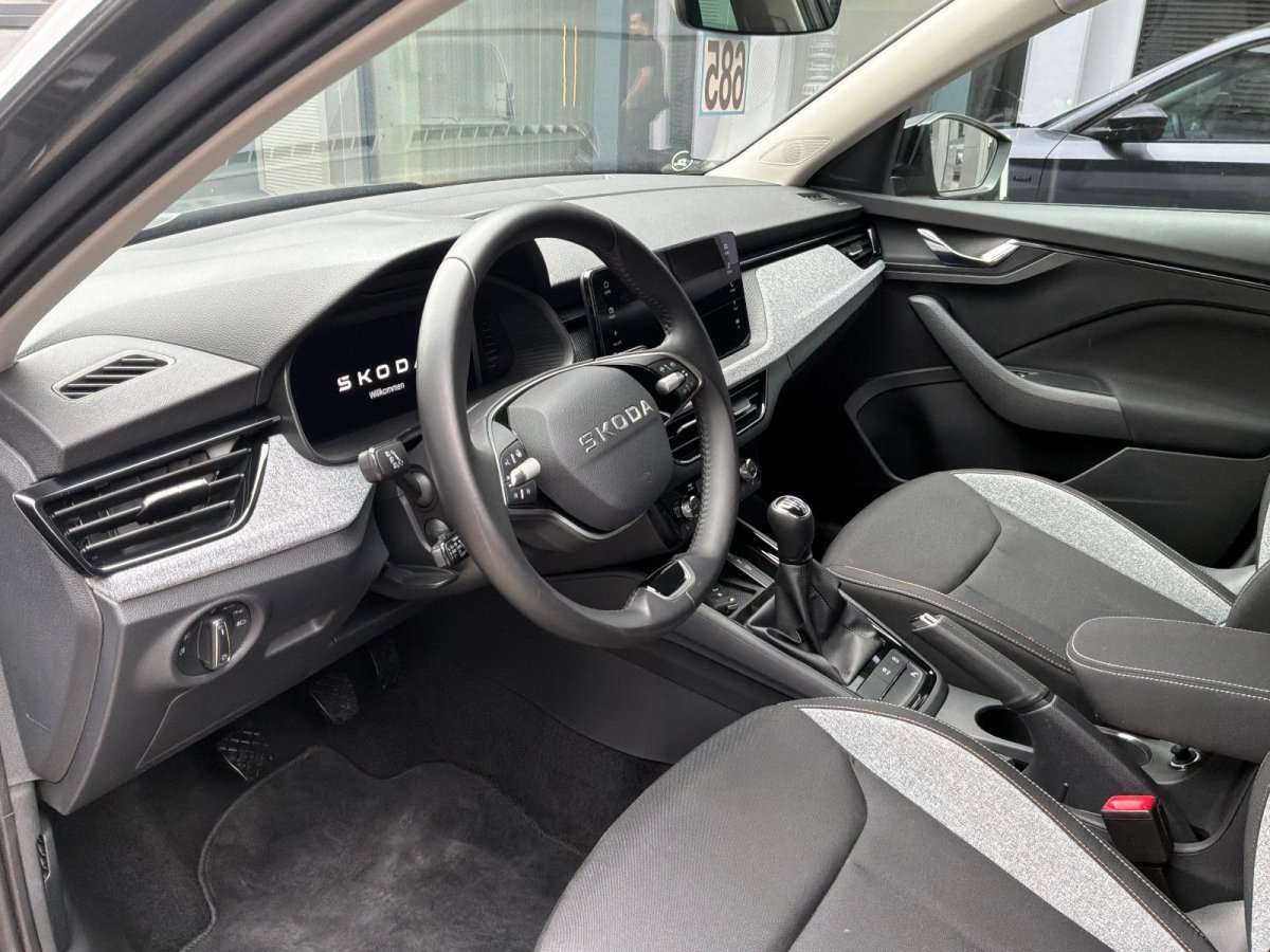 Fahrzeugbild eines Skoda Kamiq