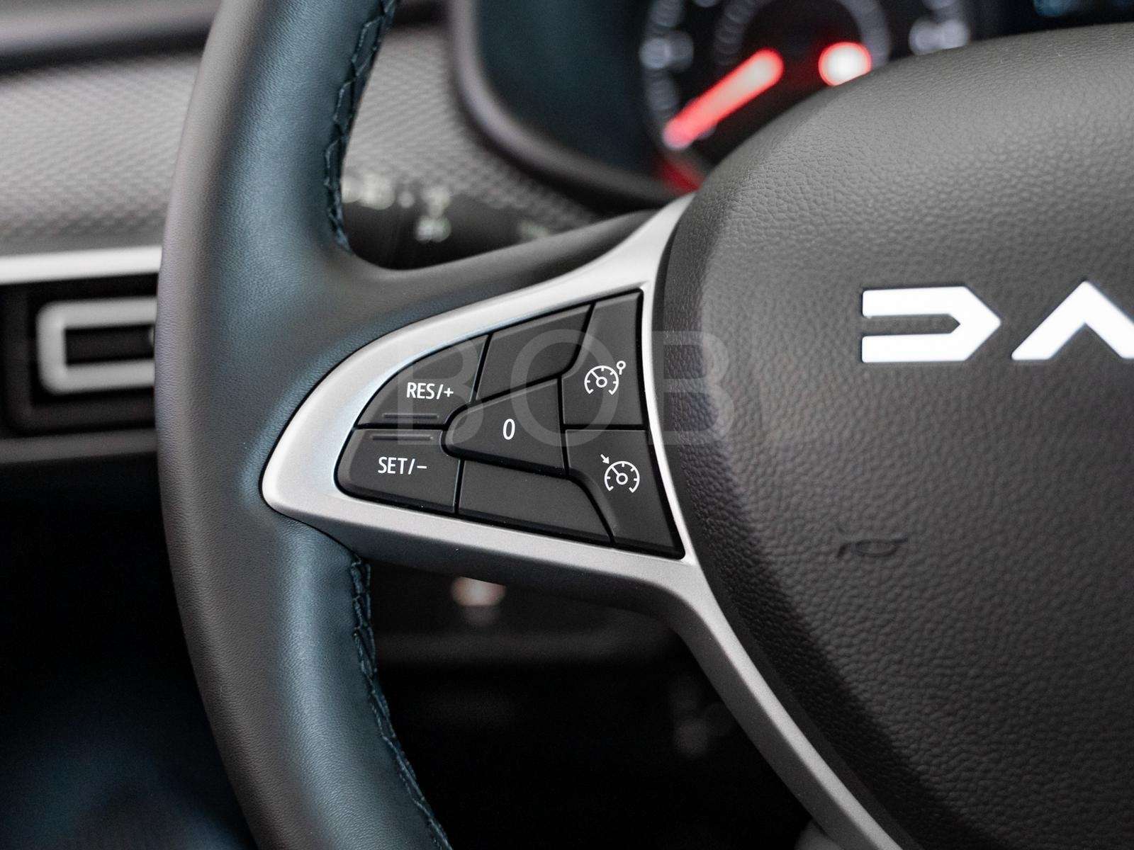 Fahrzeugbild eines Dacia Sandero